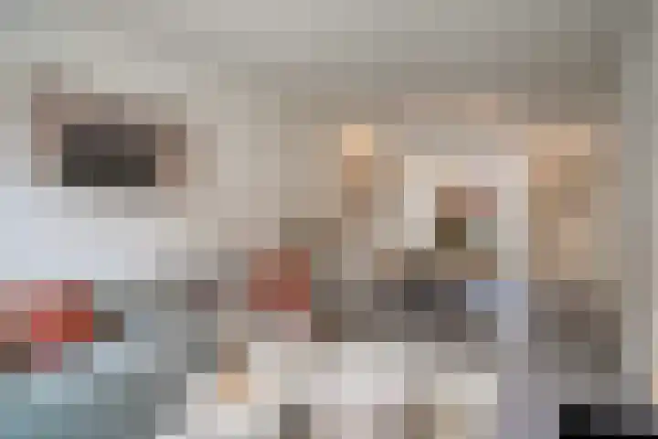 Madeliefstraat 45 Eindhoven thumbnail 6