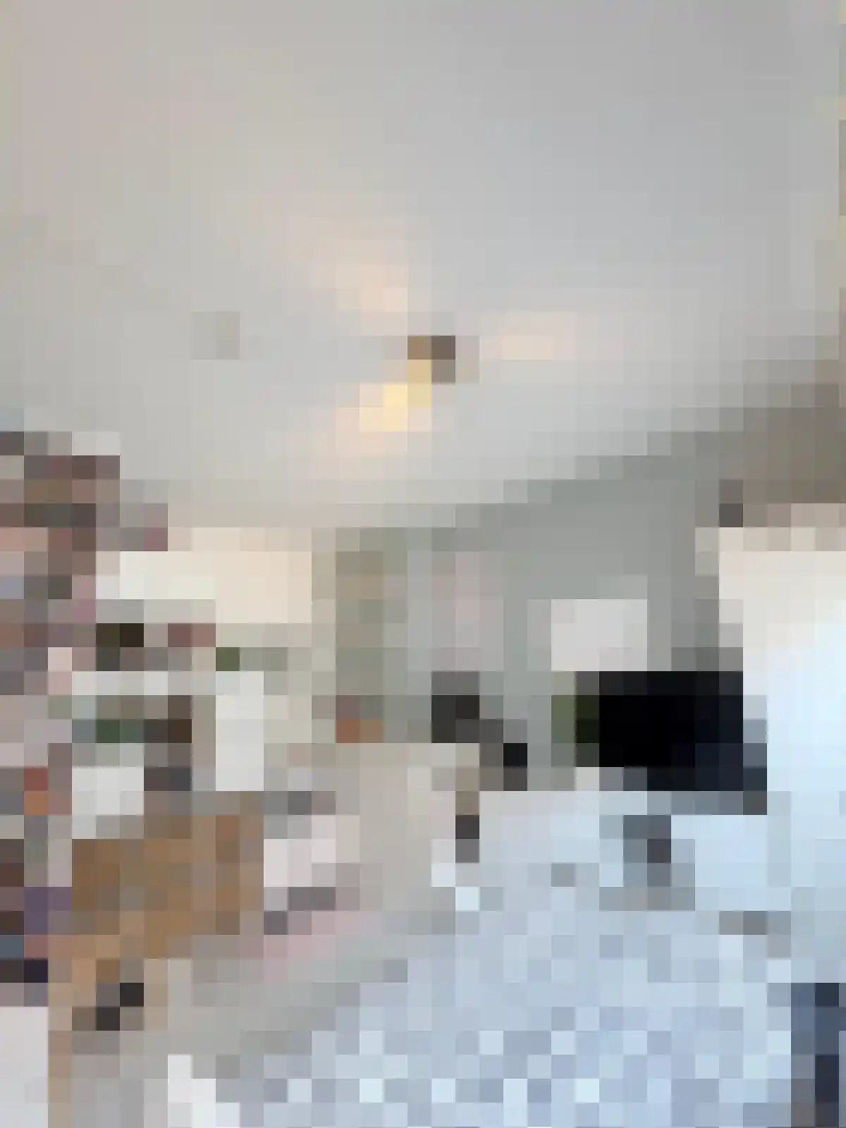 Madeliefstraat 46 01 Eindhoven thumbnail 4