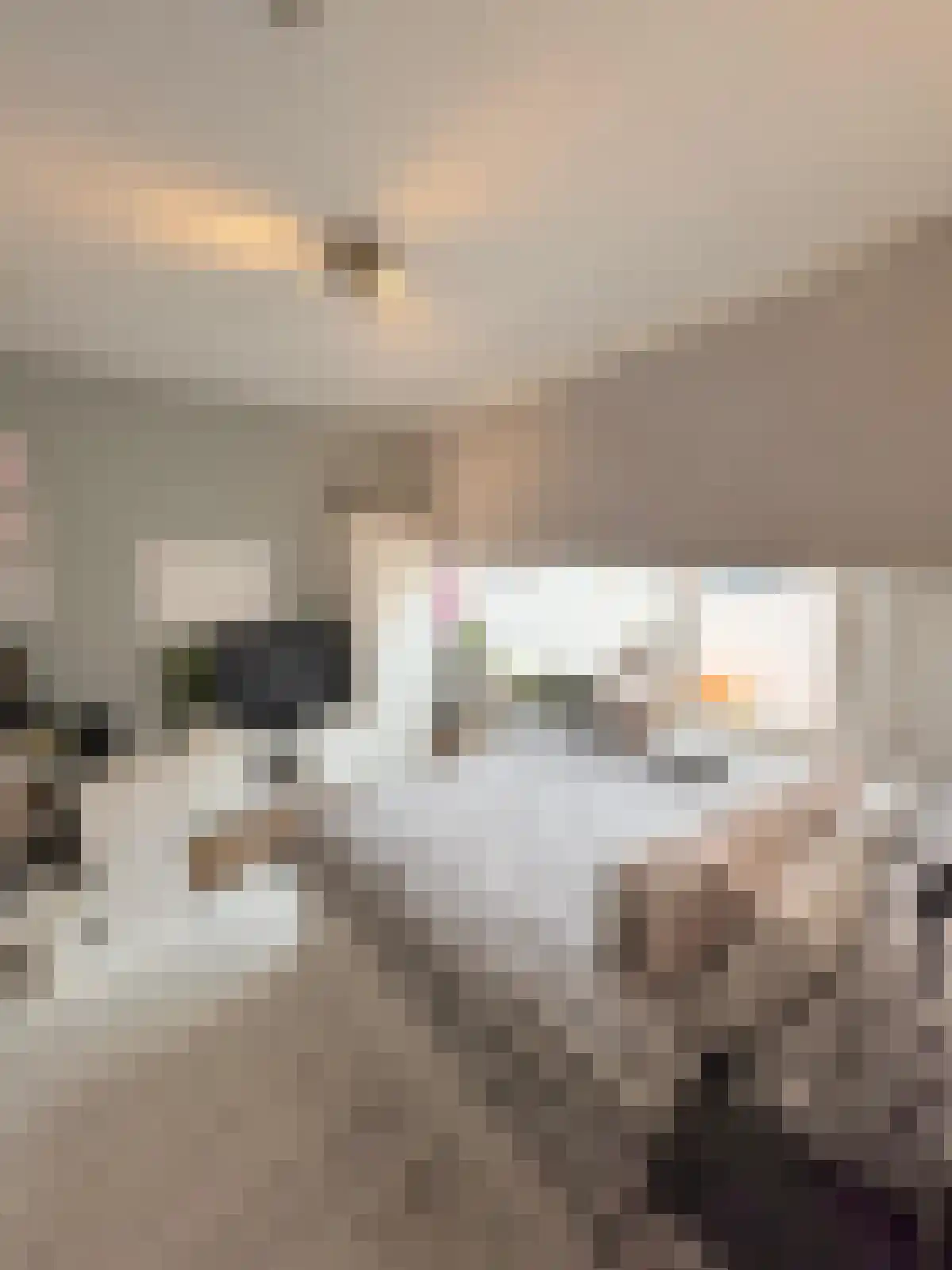 Madeliefstraat 46 01 Eindhoven thumbnail 6