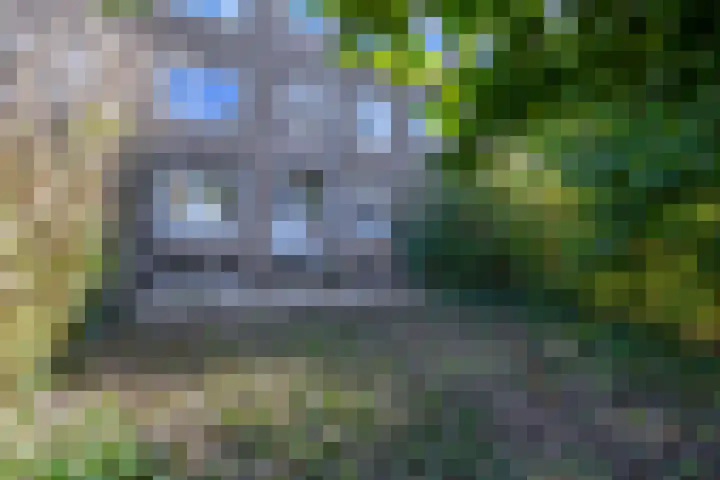 Madeliefstraat 47 A Rotterdam thumbnail 27