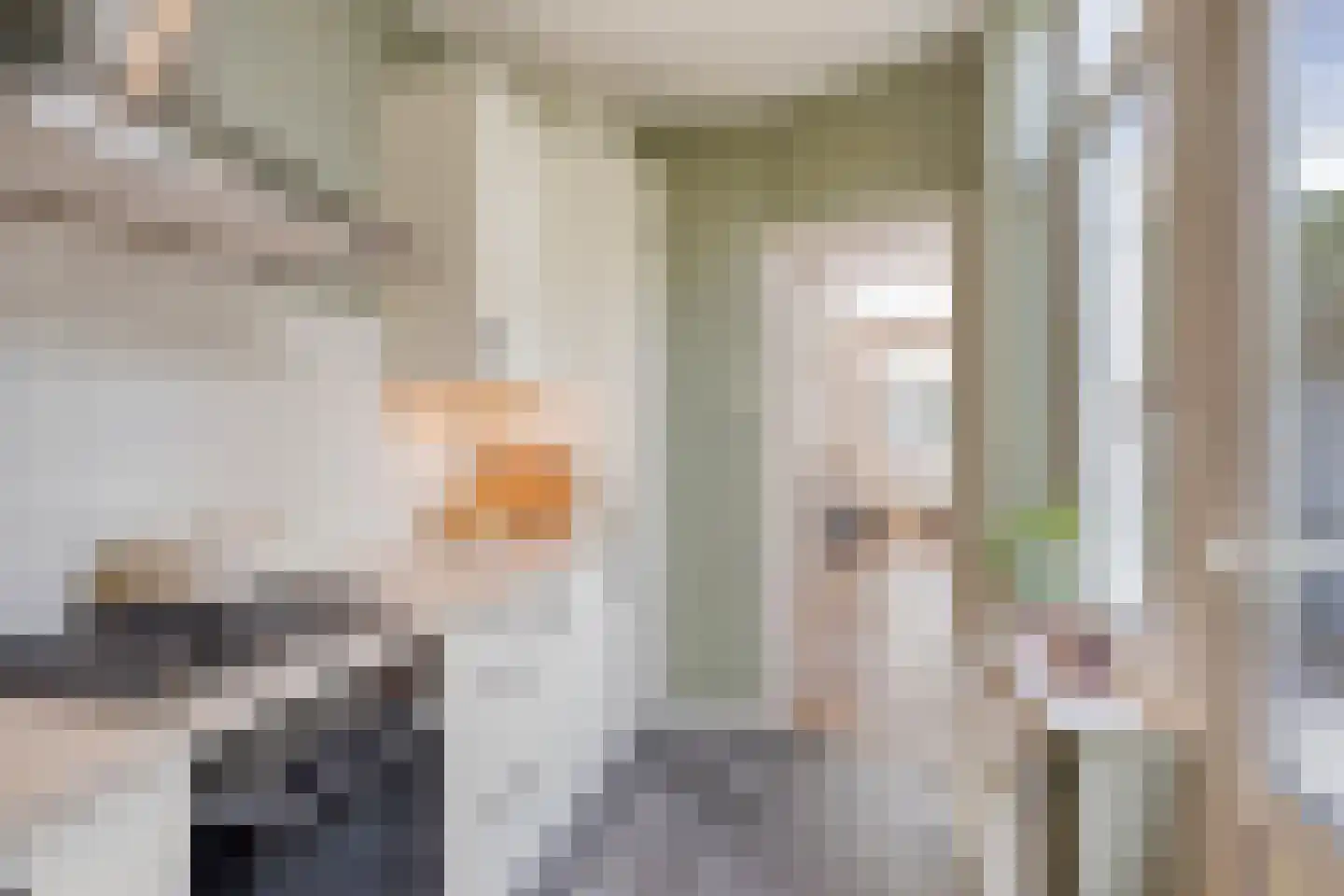 Madeliefstraat 49 Eindhoven thumbnail 12
