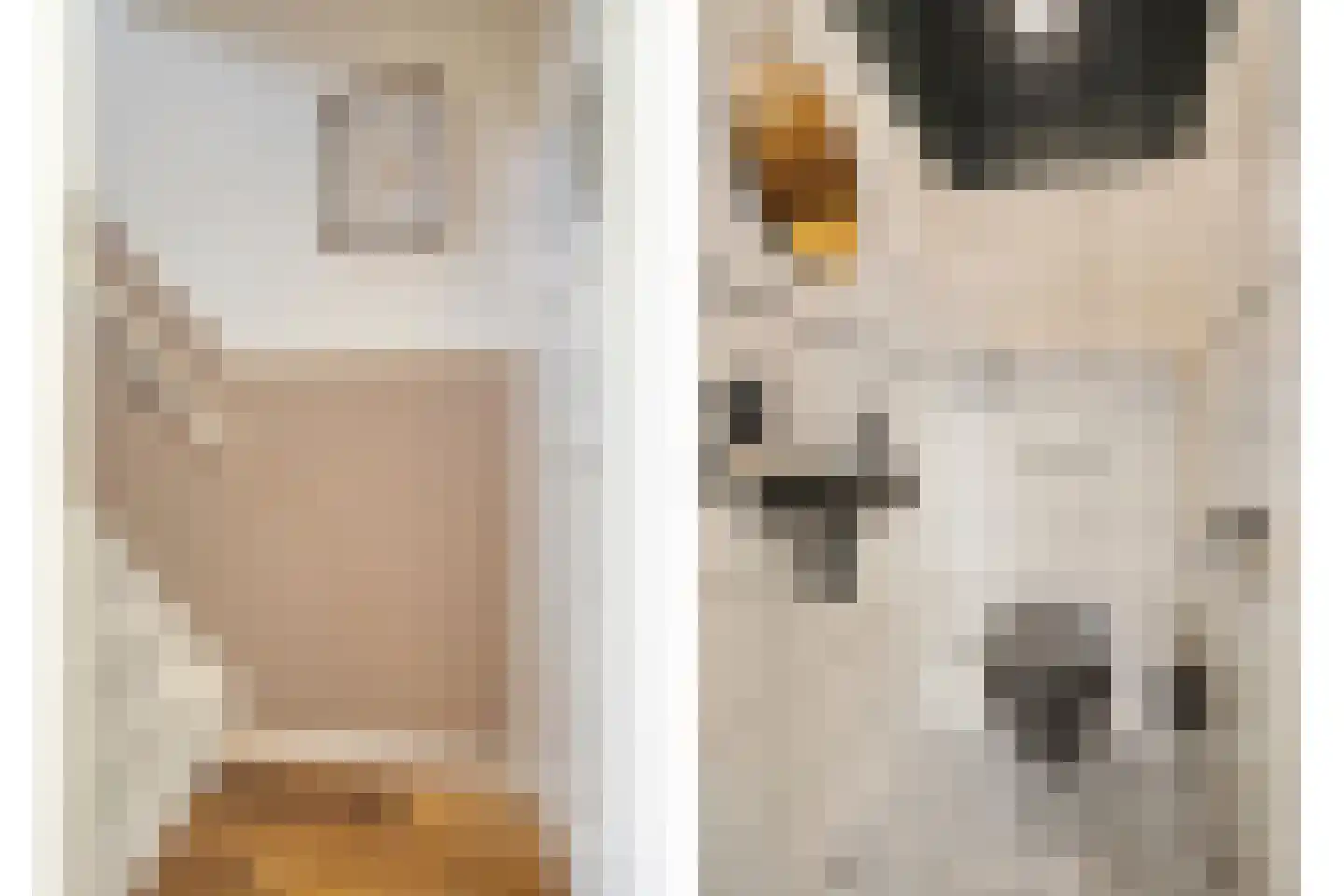 Madeliefstraat 49 Eindhoven thumbnail 13