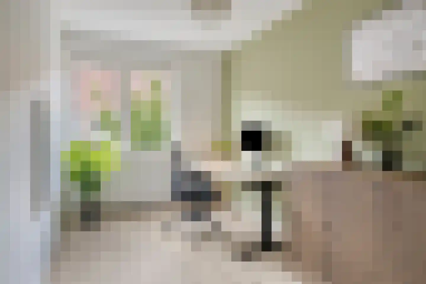 Madeliefstraat 49 Eindhoven thumbnail 15