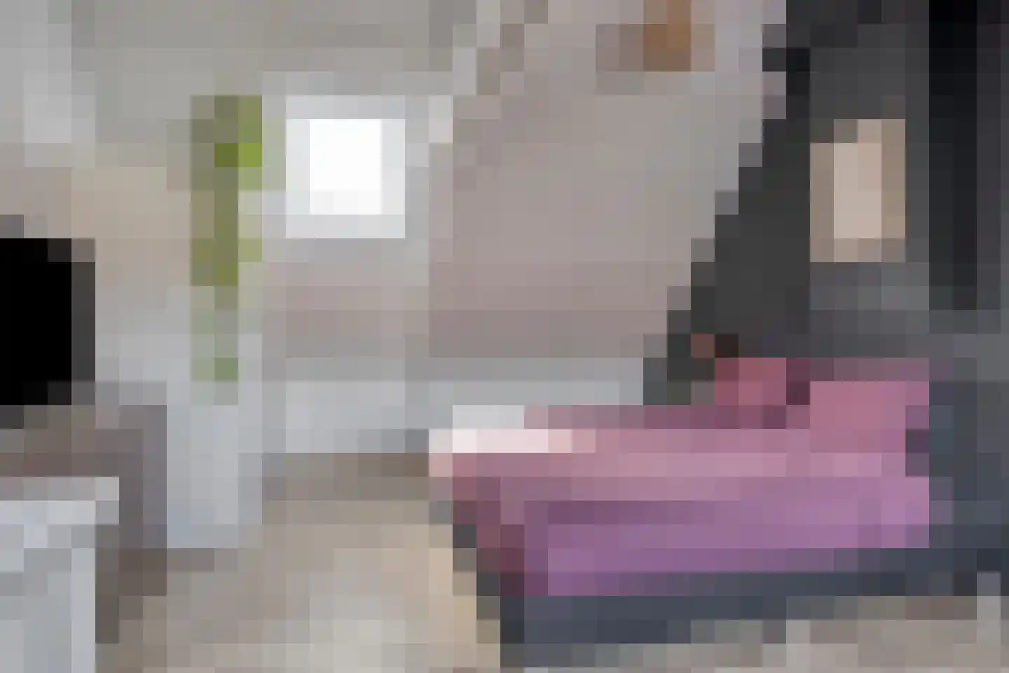 Madeliefstraat 49 Eindhoven thumbnail 19