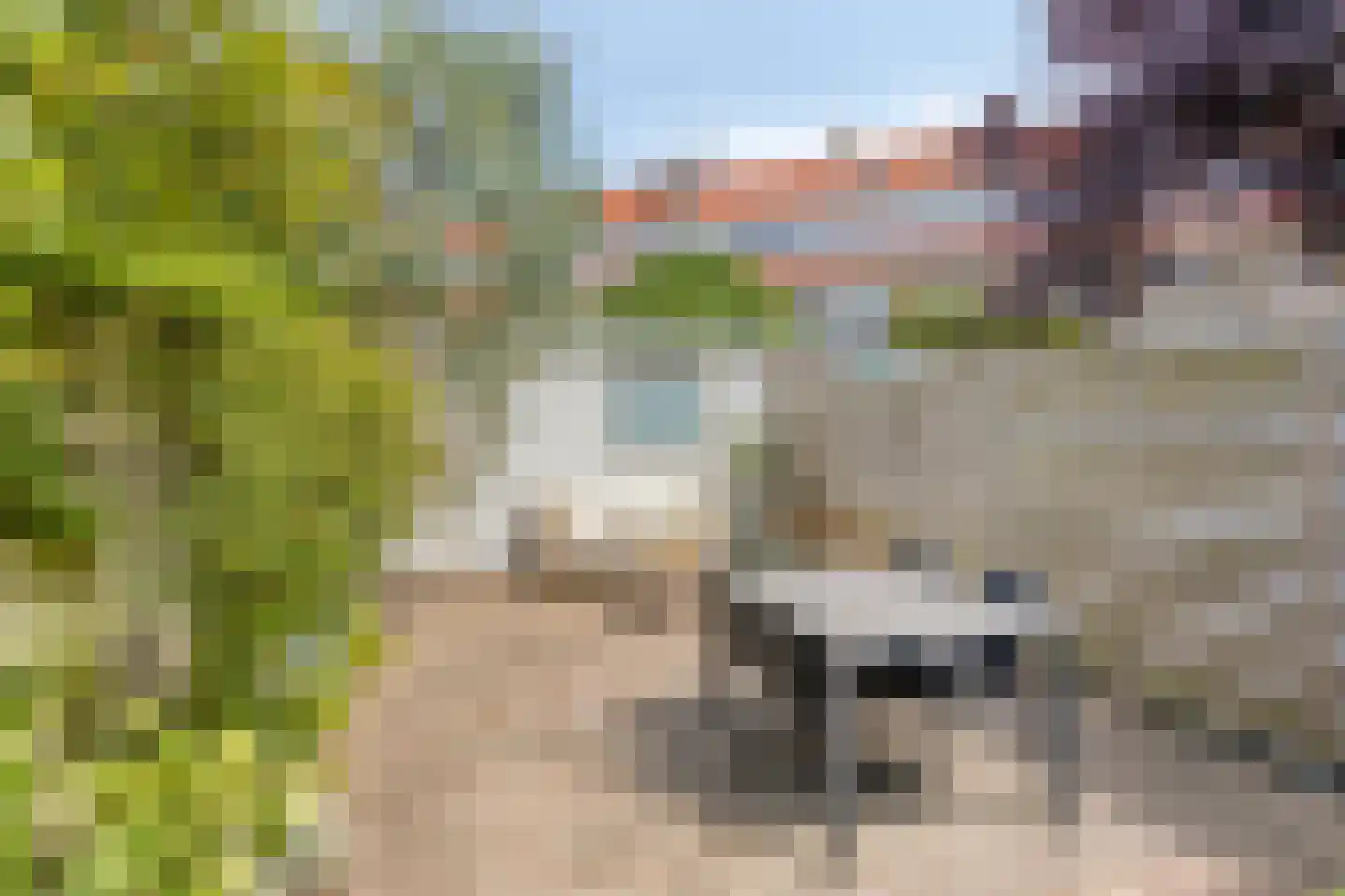 Madeliefstraat 49 Eindhoven thumbnail 21