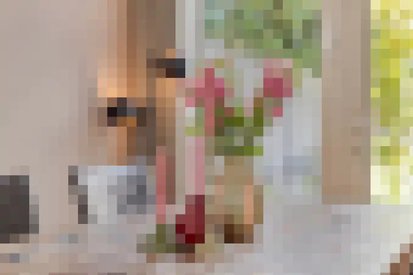 Madeliefstraat 49 Eindhoven thumbnail 9