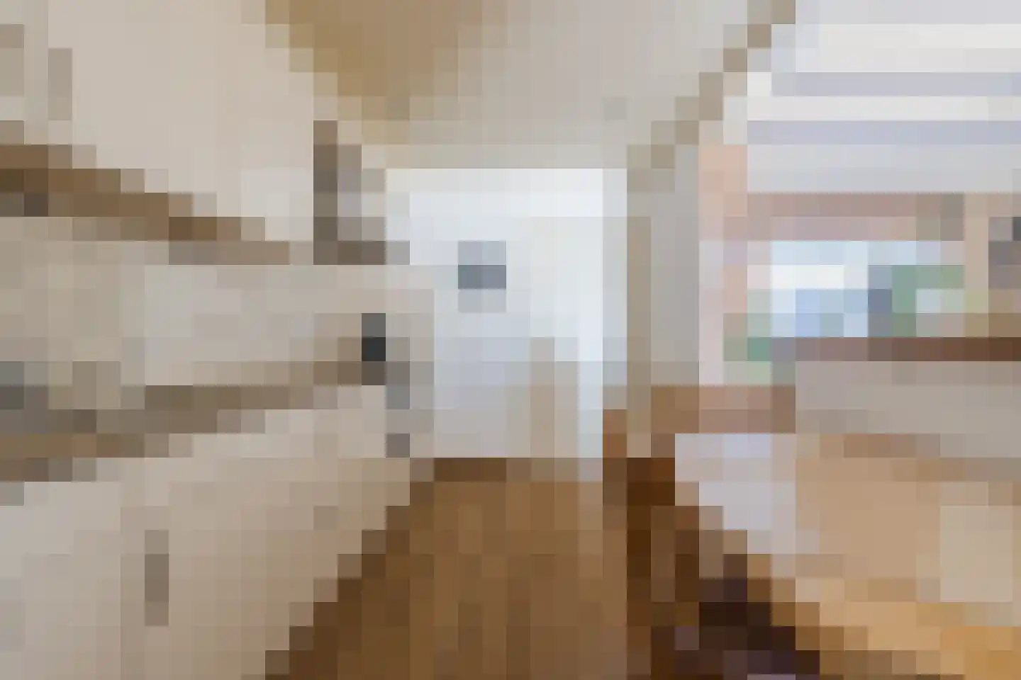 Madeliefstraat 6 Bergeijk thumbnail 12