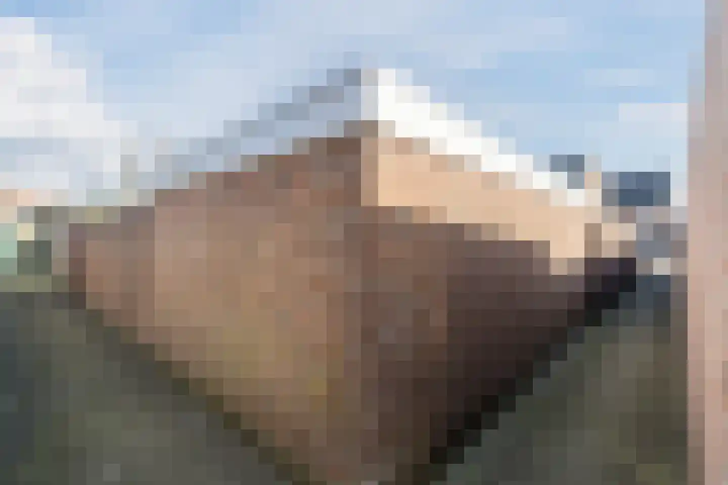 Madeliefstraat 6 Bergeijk thumbnail 30