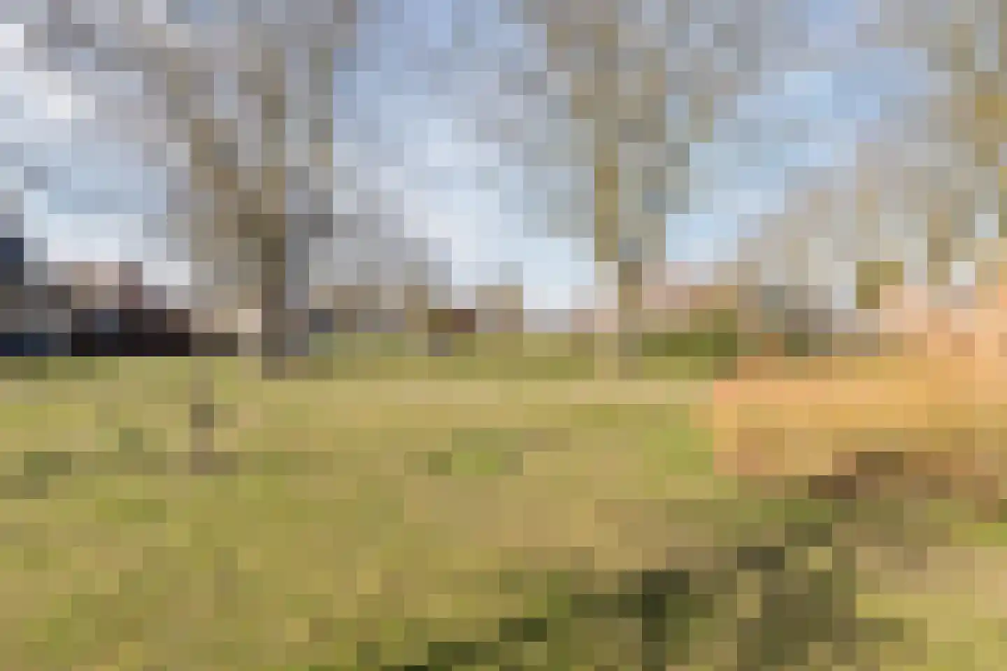 Madeliefstraat 6 Bergeijk thumbnail 34