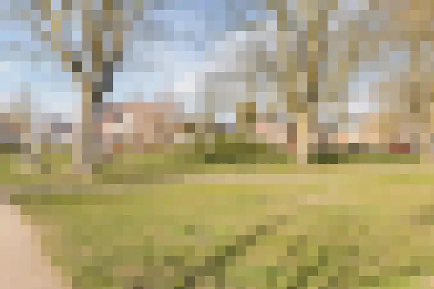 Madeliefstraat 6 Bergeijk thumbnail 35