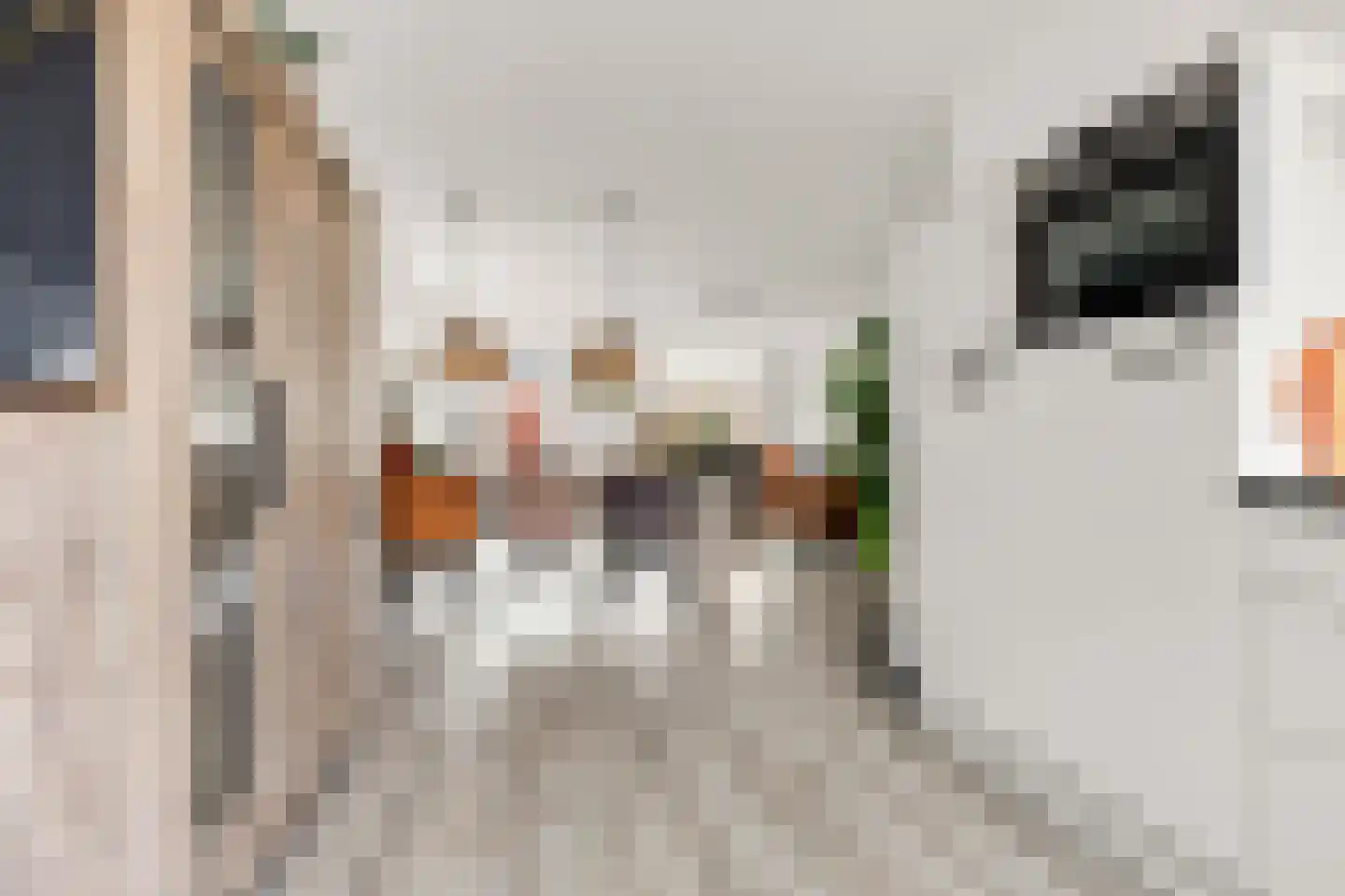 Madeliefstraat 60 Heerhugowaard thumbnail 8