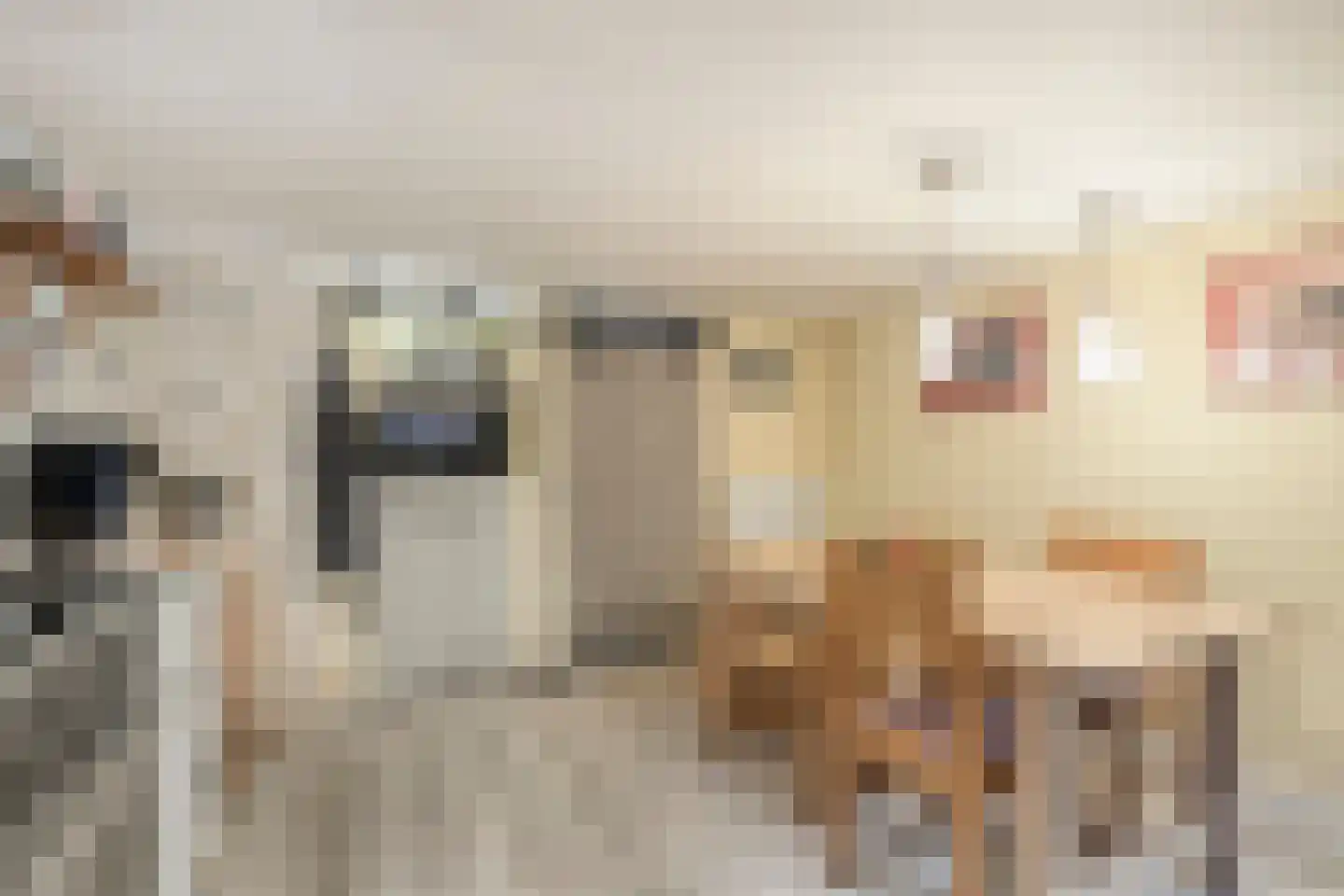 Madeliefstraat 8 Alkmaar thumbnail 12