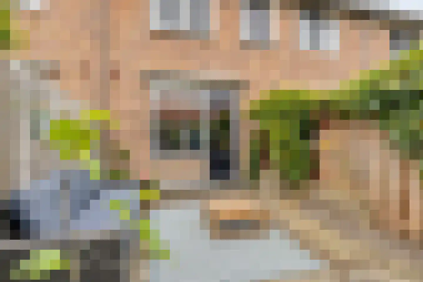 Madeliefstraat 8 Alkmaar thumbnail 25