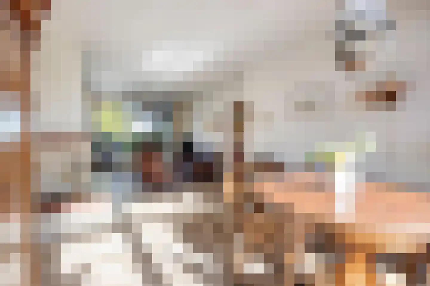 Madeliefstraat 8 Krimpen aan de Lek thumbnail 10
