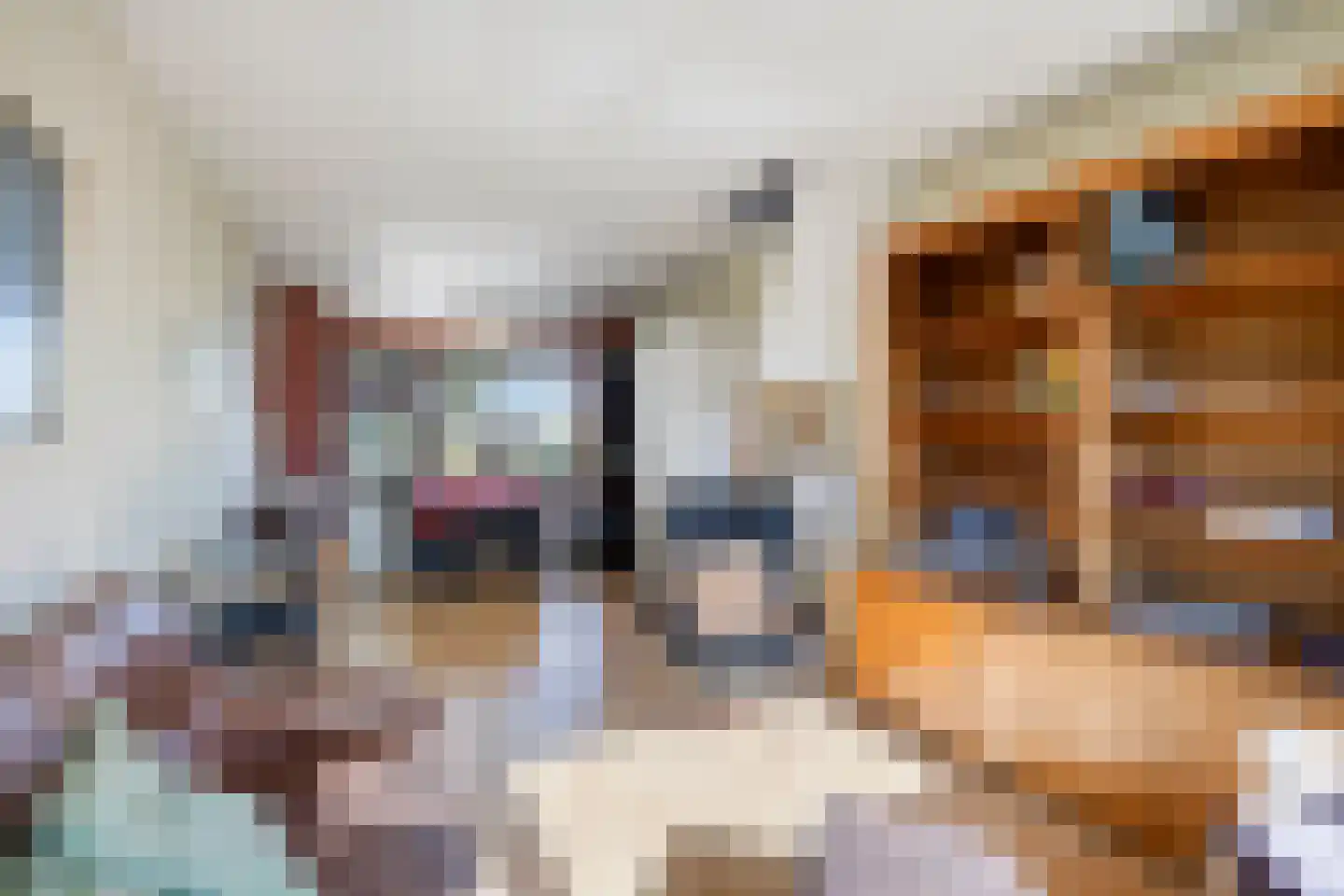 Madeliefstraat 8 Krimpen aan de Lek thumbnail 17