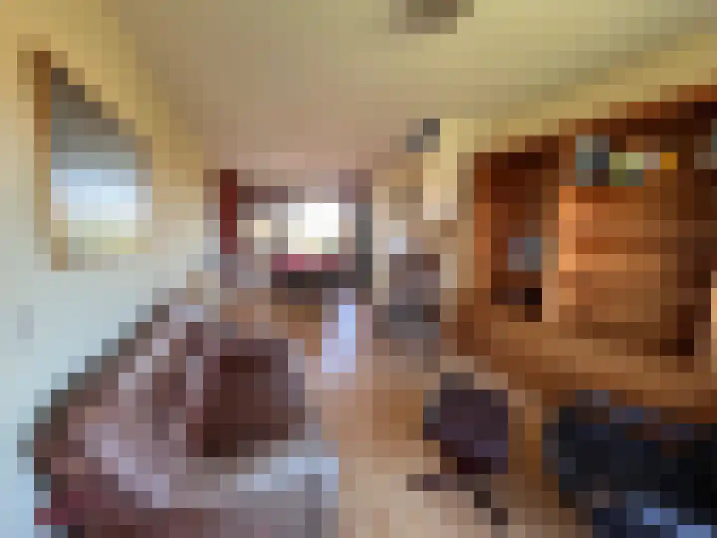 Madeliefstraat 8 Krimpen aan de Lek thumbnail 17