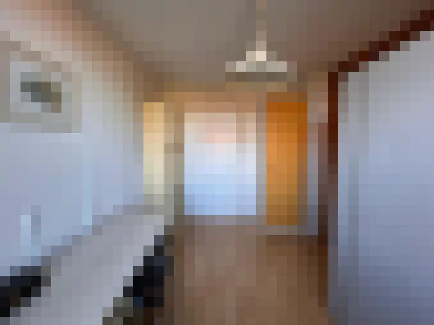 Madeliefstraat 8 Krimpen aan de Lek thumbnail 24