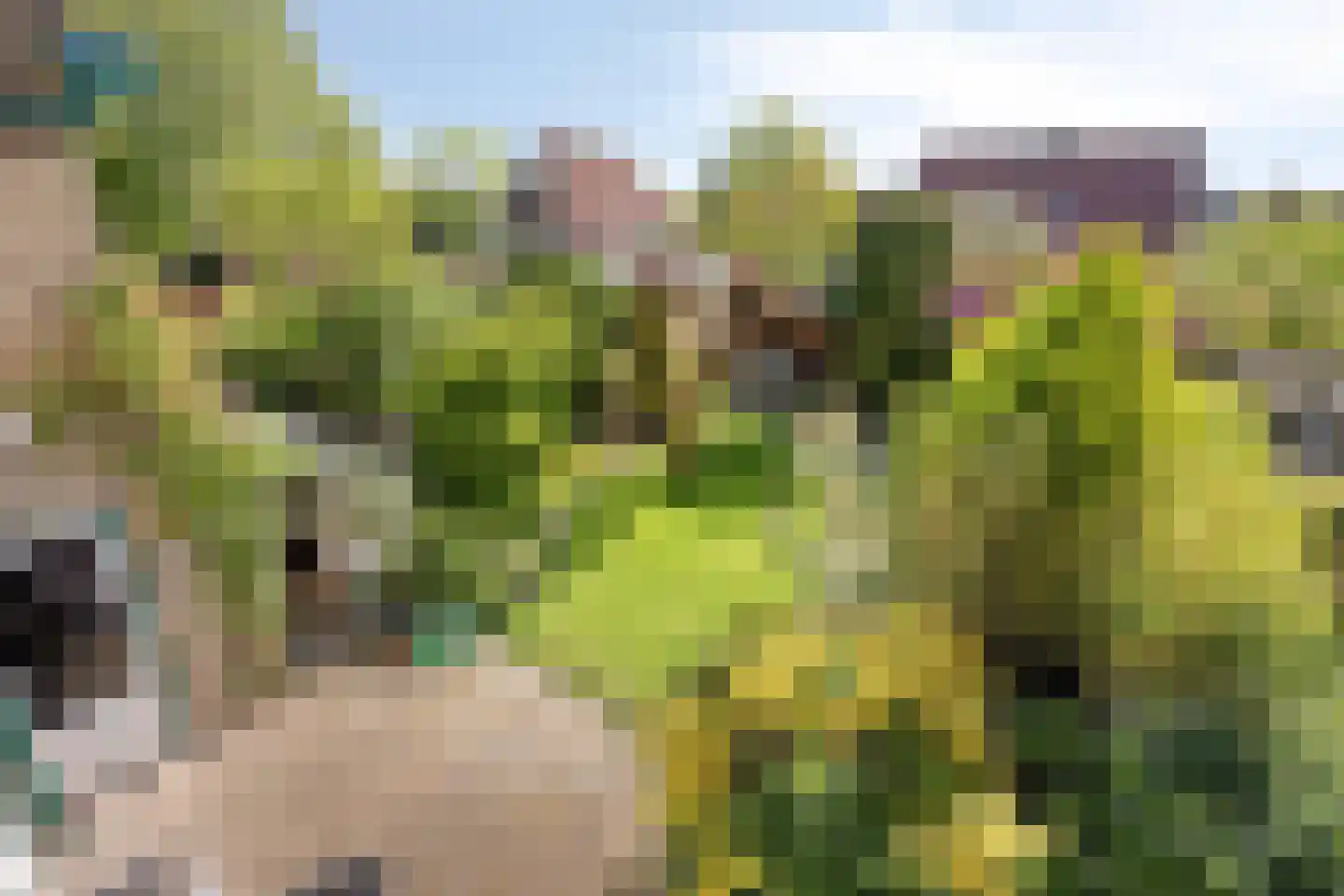 Madeliefstraat 8 Krimpen aan de Lek thumbnail 25