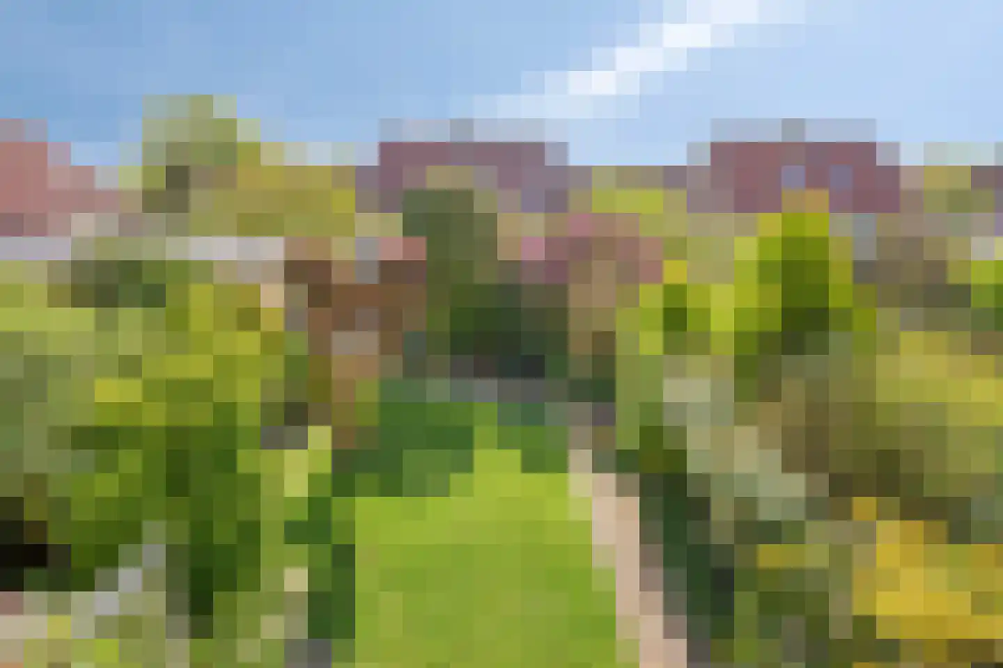 Madeliefstraat 8 Krimpen aan de Lek thumbnail 32