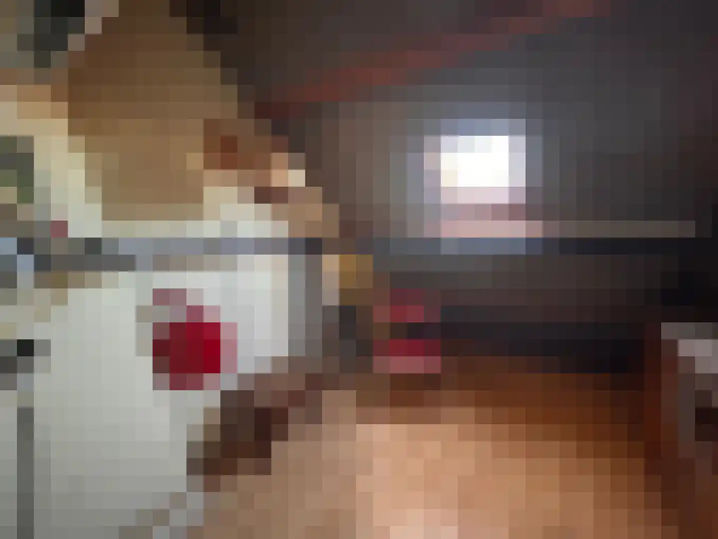 Madeliefstraat 8 Krimpen aan de Lek thumbnail 33