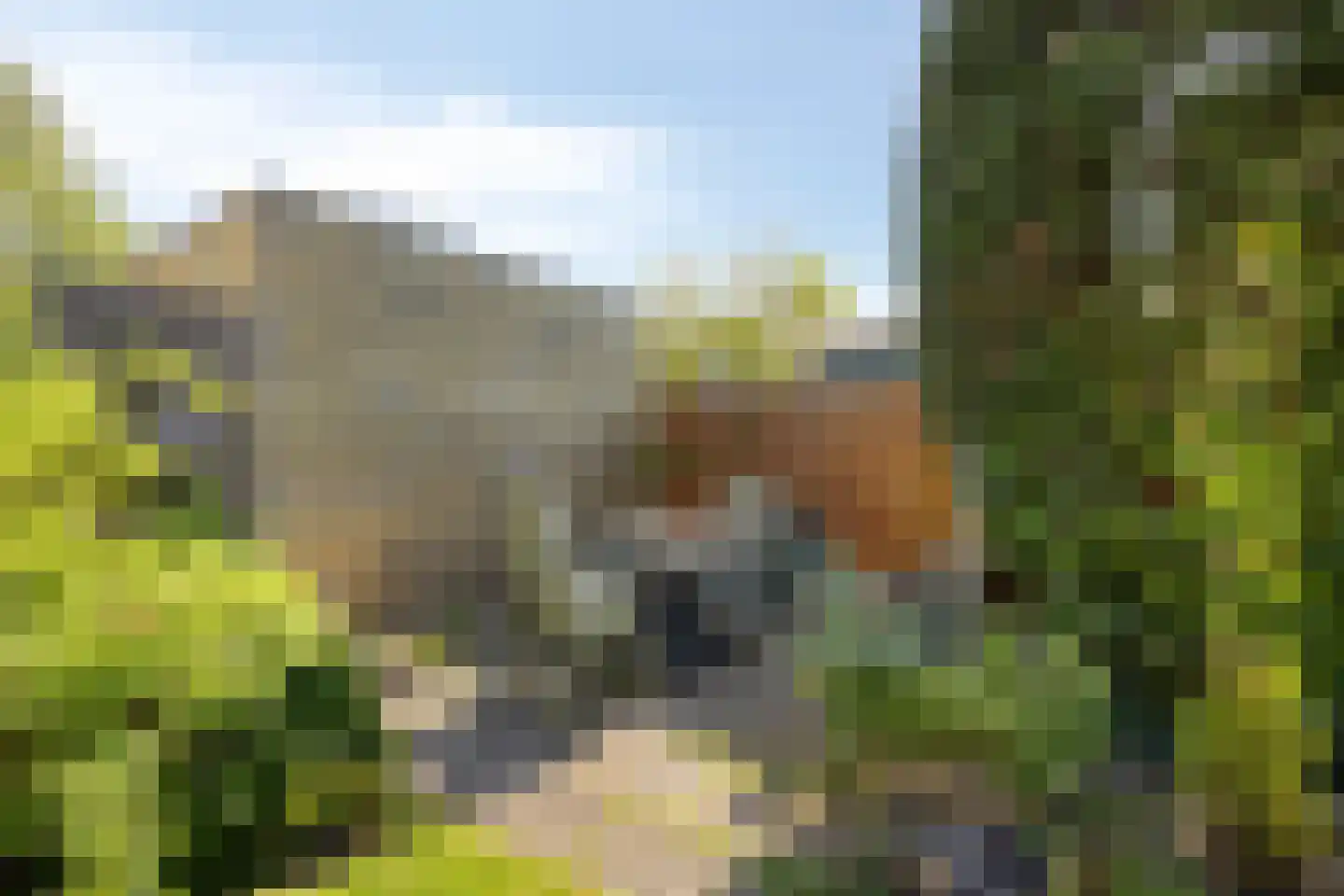 Madeliefstraat 8 Krimpen aan de Lek thumbnail 44