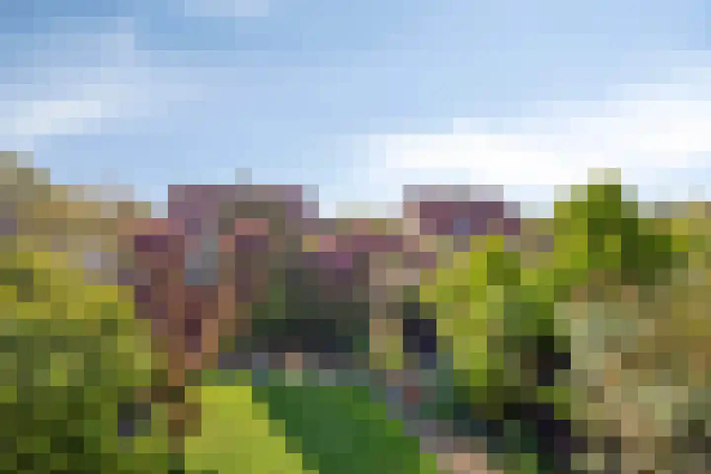Madeliefstraat 8 Krimpen aan de Lek thumbnail 51
