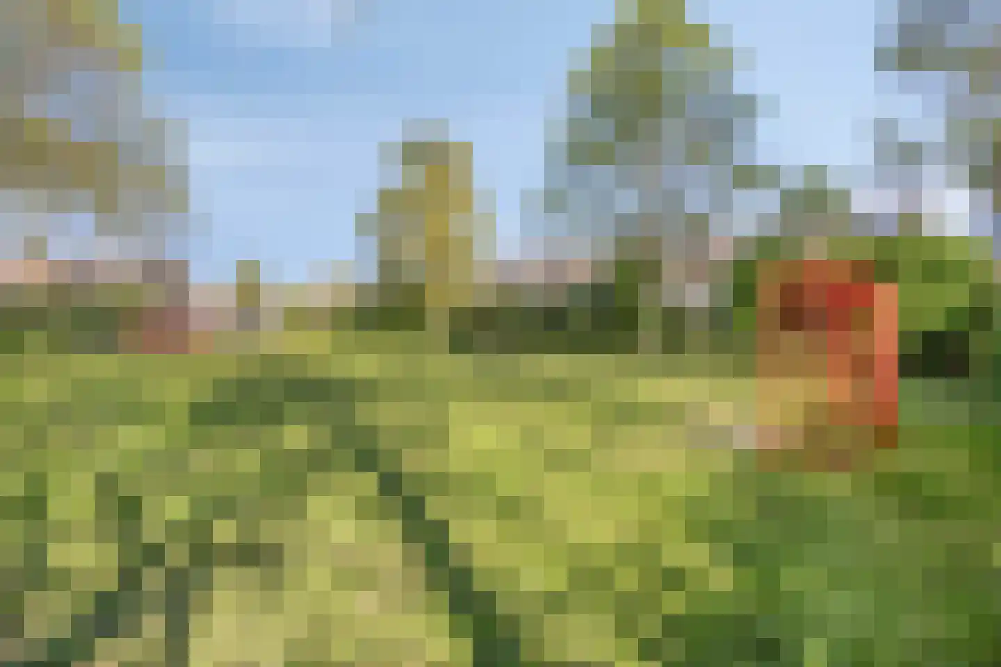 Madeliefstraat 8 Krimpen aan de Lek thumbnail 57
