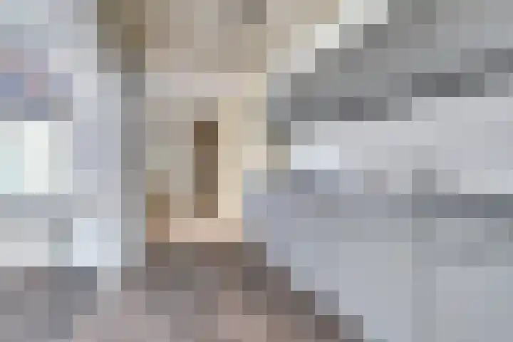 Madeliefstraat 8 Waalwijk thumbnail 14