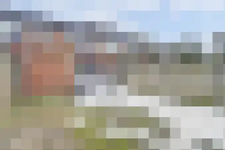 Madeliefstraat 8 Waalwijk thumbnail 31