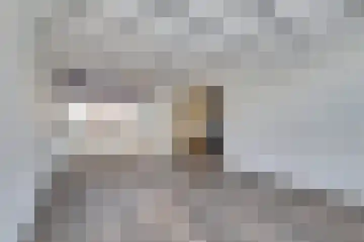 Madeliefstraat 8 Waalwijk thumbnail 7