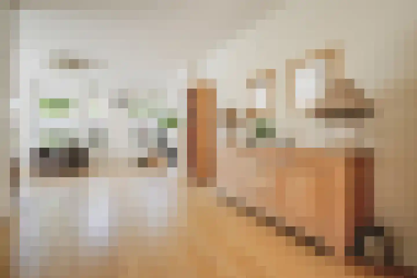 Madelieftuin 3 Bergschenhoek thumbnail 16