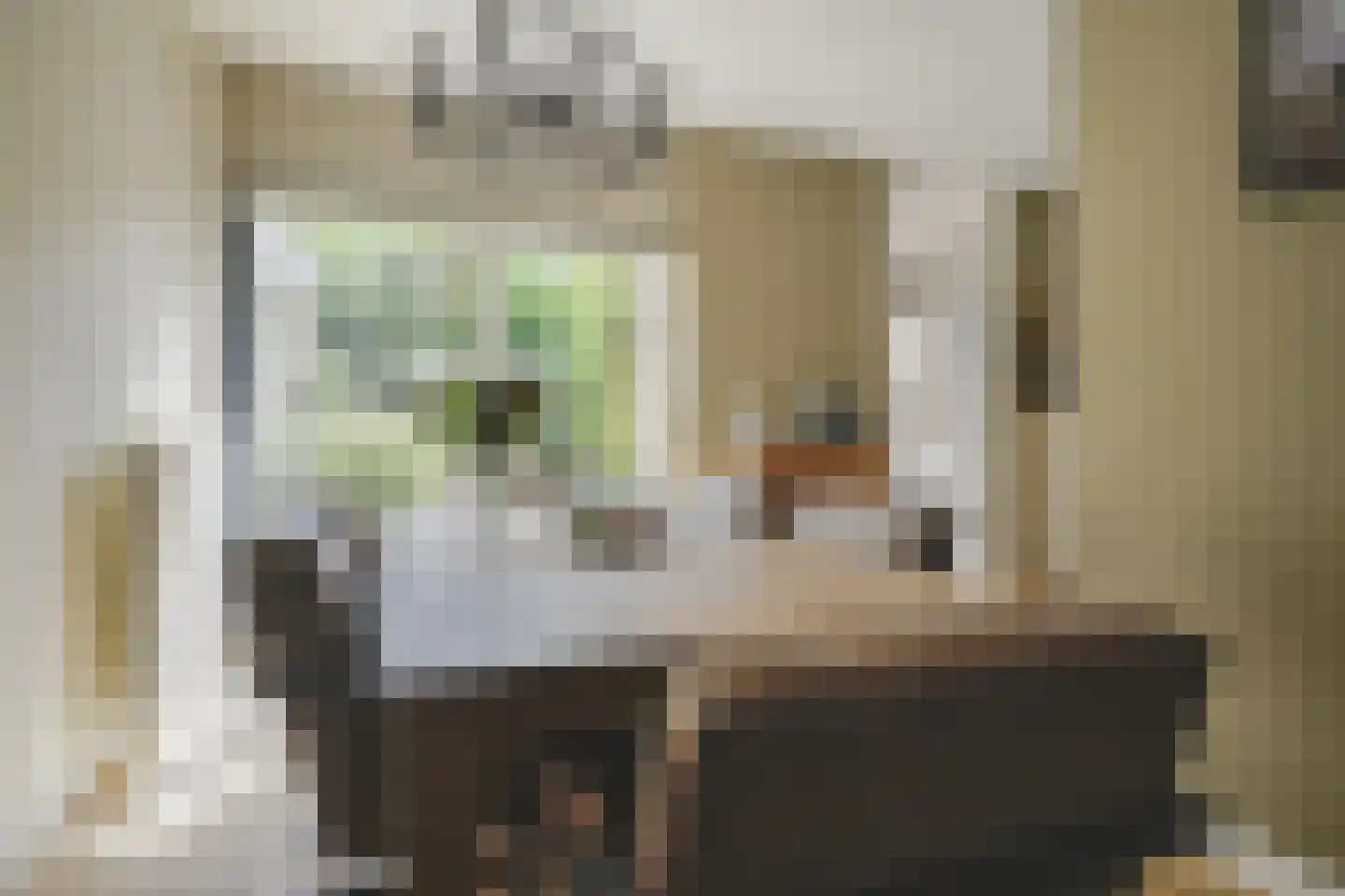 Madelieftuin 3 Bergschenhoek thumbnail 17