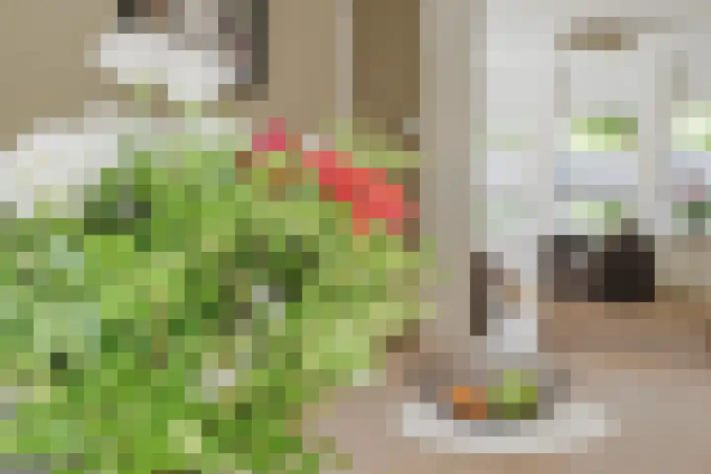 Madelieftuin 3 Bergschenhoek thumbnail 21