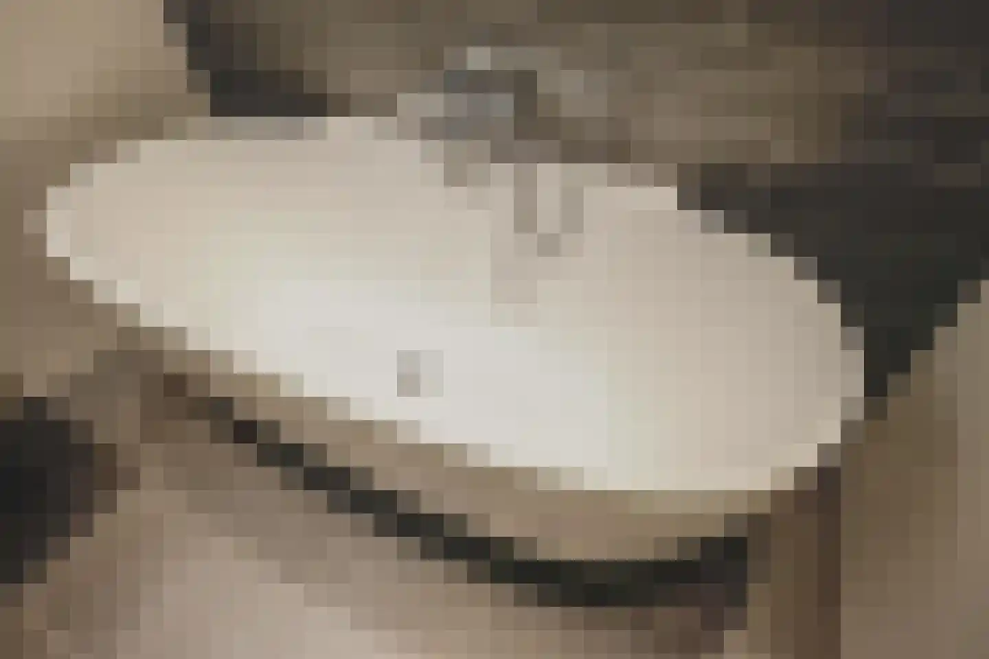 Madelieftuin 3 Bergschenhoek thumbnail 31