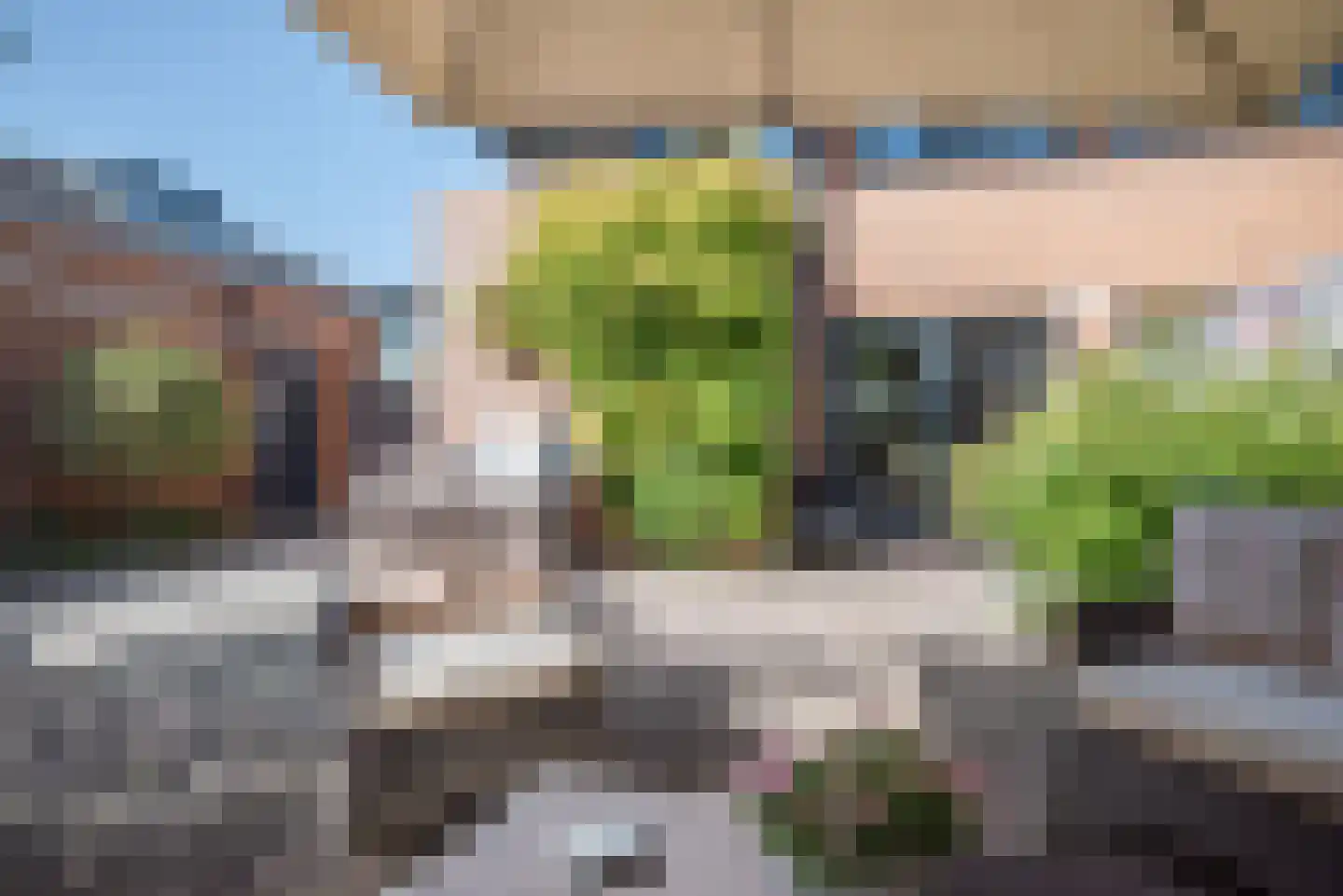 Madelieftuin 3 Bergschenhoek thumbnail 52