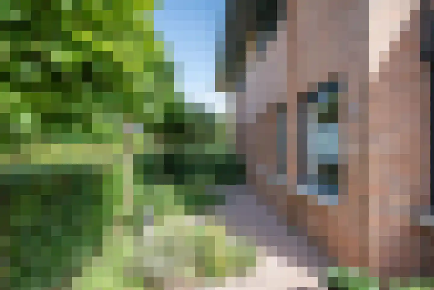 Madelieftuin 3 Bergschenhoek thumbnail 56