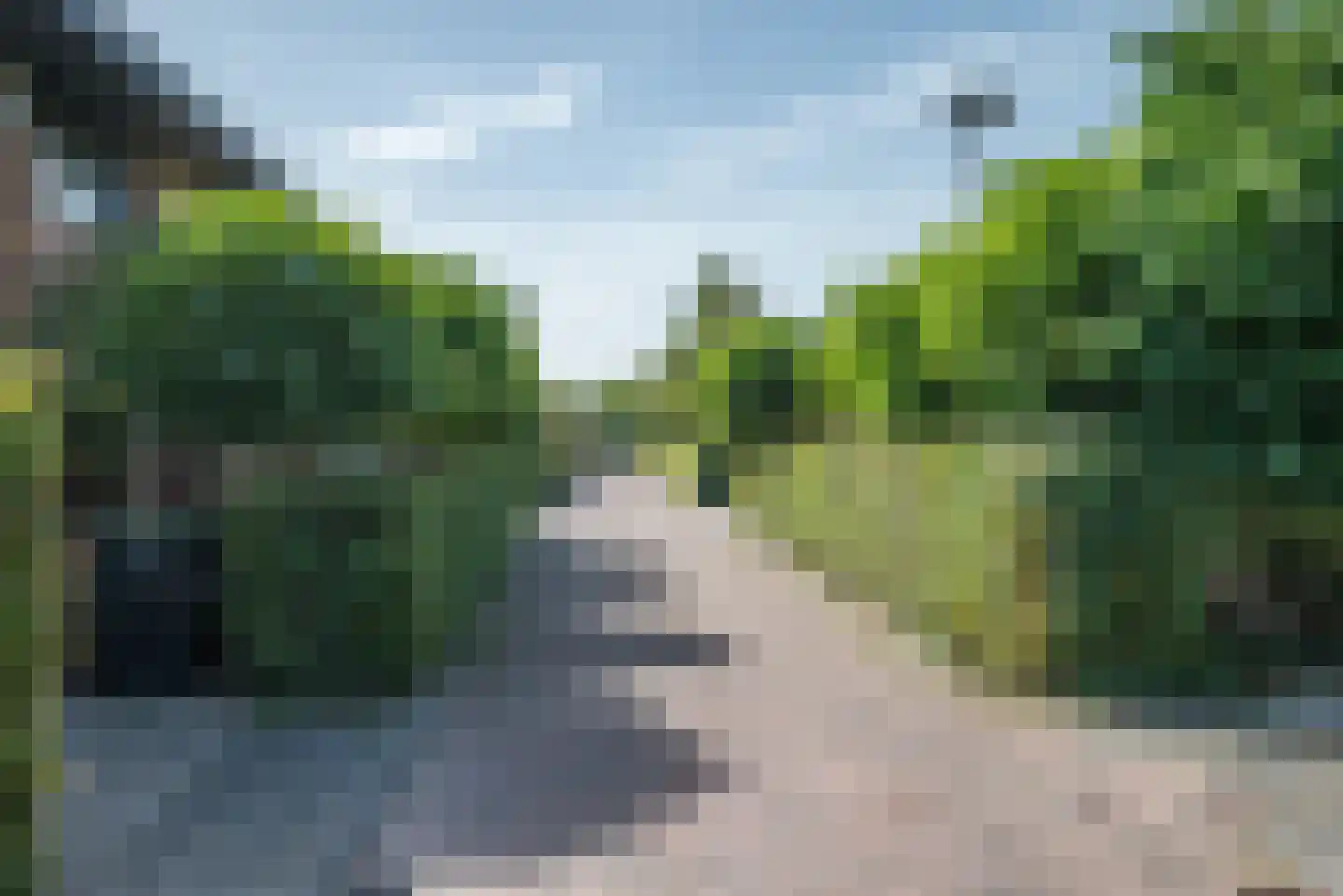 Madelieftuin 3 Bergschenhoek thumbnail 60