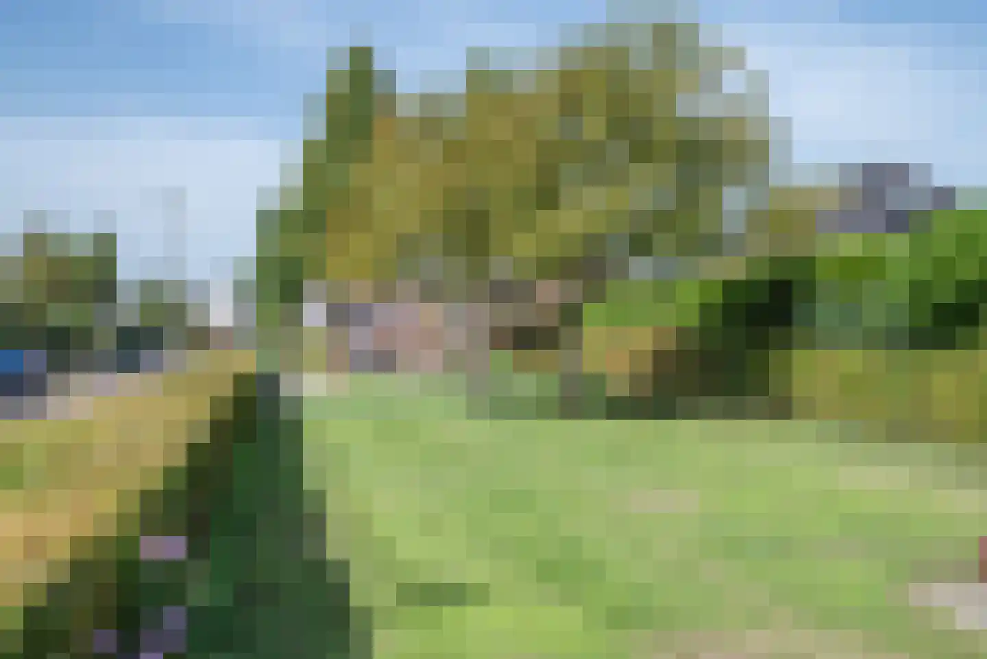 Madelieftuin 3 Bergschenhoek thumbnail 61