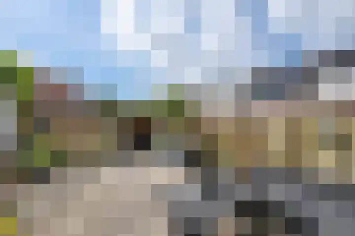 Madeliefveld 12 Nieuwerkerk aan den IJssel thumbnail 19