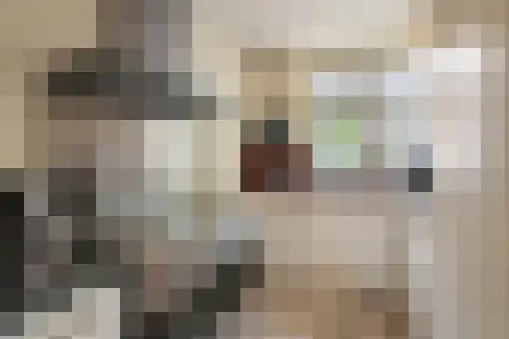 Madeliefveld 12 Nieuwerkerk aan den IJssel thumbnail 6