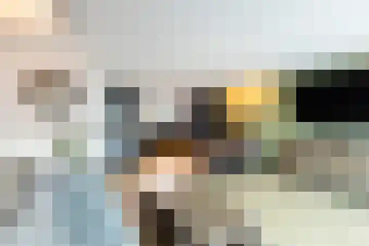 Madeliefweide 14 Woerden thumbnail 12