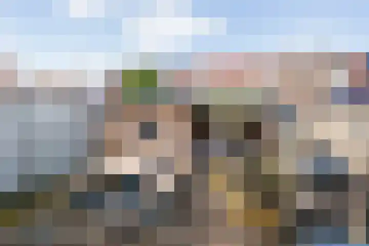 Madeliefweide 14 Woerden thumbnail 21