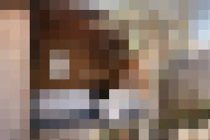 Madeliefweide 14 Woerden thumbnail 22