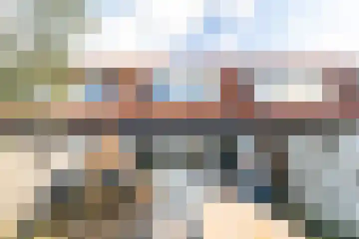 Madeliefweide 14 Woerden thumbnail 25