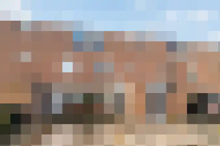 Madeliefweide 14 Woerden thumbnail 4