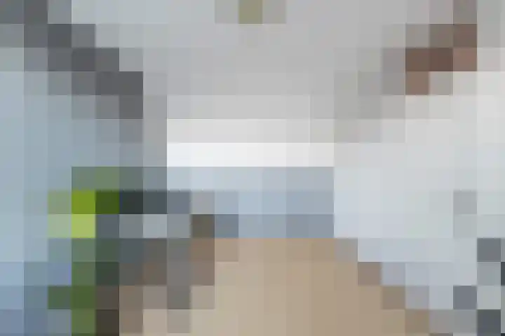 Madeliefweide 14 Woerden thumbnail 43