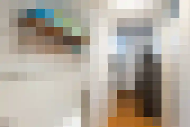 Madeliefweide 14 Woerden thumbnail 45