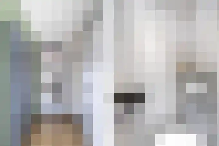 Madeliefweide 14 Woerden thumbnail 7