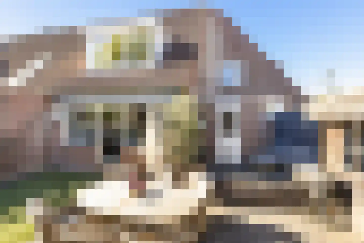 Madeliefweide 58 Woerden thumbnail 21