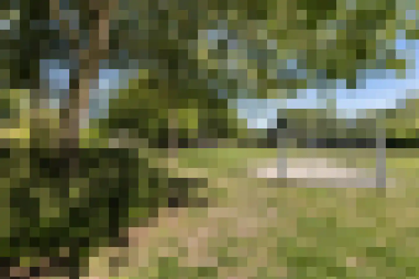 Madeliefweide 58 Woerden thumbnail 42